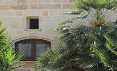 10 piante giardino masseria pagani nardò salento