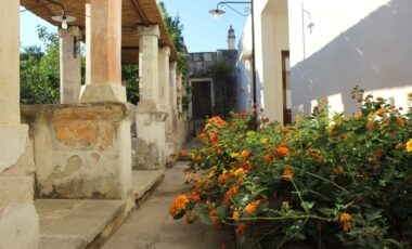 14 agrumeto e pergolato masseria pagani nardò salento