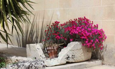 16 vasca in pietra antica masseria pagani nardò salento